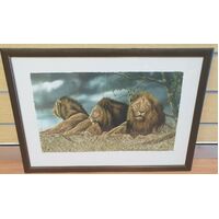 Andrew Bone Triple Trouble Framed Art Work With Certificate (Pre-owned)