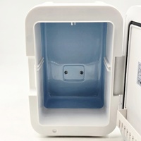 Portable Mini Makeup & Cosmetic Fridge Cooler Warmer LED Mirror 4L 12V DC Skincare Refrigerator