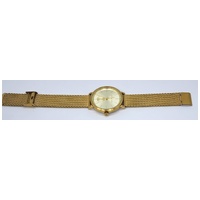 Michael Kors Irving Gold Mesh Stainless Steel Ladies Watch MK8741 5 ATM