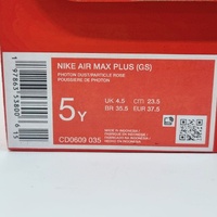 Nike Air Max Plus GS Photon Dust Enigma Stone Rose CD0609-035 5Y US EUR 37.5