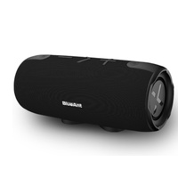 BlueAnt X3i Portable 30 Watt Bluetooth Speaker IP67 Waterproof Black