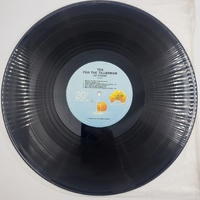Cat Stevens Tea for the Tillerman 1979 Vinyl Record Classic Folk Rock LP