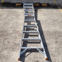 Rhino DDP06-150 Dual Purpose Ladder 1.8m-3.3m 150kg Industrial Grade