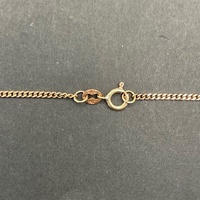 Ladies 9ct Rose Gold Curb Link Necklace & Oval Locket Pendant