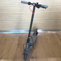 Skywalker Pro Electric Scooter 25km/h 30km Range Foldable 100kg