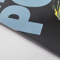 The Police Outlandos D'Amour 2009 Reissue Vinyl Record Misprint Edition