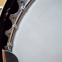 Tennessee 5 String Bluegrass Banjo Remo Head Nato Neck 22 Frets Resonator