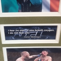 Conor McGregor UFC Framed Memorabilia Limited Edition 378/499 COA 16x20