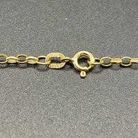 Ladies 9ct Yellow Gold Belcher Link & Purple Pendant