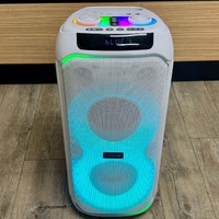 X Echo Lunar 110 Tower Speaker 50W RGB Wireless White 605912 Bluetooth