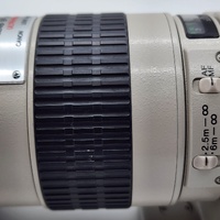 Canon EF 300mm f/4 L USM Telephoto Lens Professional L-Series EF Mount