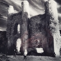 U2 The Unforgettable Fire 35th Anniversary Wine Coloured Vinyl LP New Sealed