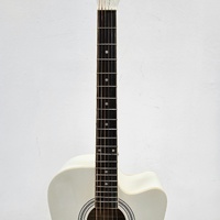 Jim Beam Promo Competition Model Semi-Acoustic Guitar Limited Edition