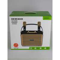 NEW Booms Bass M4202 Karaoke Portable Speaker Orange with Dual Microphones