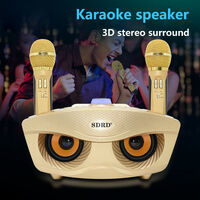 NEW Wireless Bluetooth Karaoke Speaker System 2 Microphone for KTV