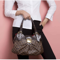 Louis Vuitton Sistina PM Damier Ebene Canvas Shoulder Bag N41542 