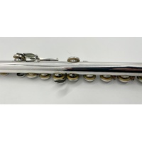 Solo Soprano Flute in Case with Cleaning Rod