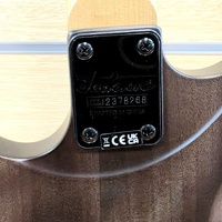 Jackson JS Series Dinky Arch Top JS24 DKAM Electric Guitar Black Stain