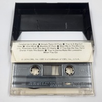 Bob Dylan Blood on the Tracks Cassette Tape Album Vintage Classic Rock