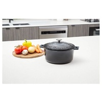 Westinghouse 5L Cast Iron Round Pot Ombre Grey WHCIPR2502G