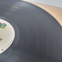 The Radiators Feel The Heat 1980 Vinyl LP Record