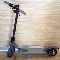 Skywalker Pro Electric Scooter 25km/h 30km Range Foldable 100kg