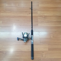 PENN Silver Series 6' Boat Fishing Rod & SS2 6000 Spinning Reel Combo