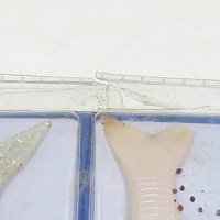 Banjo Minnow 006 Fishing Lure Set 110 Pieces Soft Plastic Baits Kit for Bass Freshwater & Saltwater Fishing