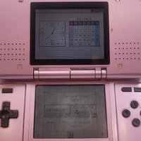 Nintendo DS NTR-001 Pink Handheld Console System Console Only