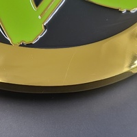 WWE D-Generation X DX Replica Championship Side Plate Box Set Collectible