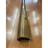 O'Meara Native Eucalyptus Didgeridoo Handcrafted Wood Instrument