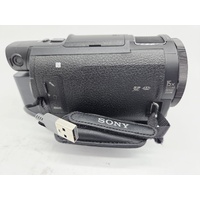 Sony FDR-AX33 Handycam 4K Ultra HD Camcorder ZEISS 10x Lens Bundle