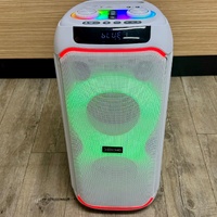 X Echo Lunar 110 Tower Speaker 50W RGB Wireless White 605912 Bluetooth