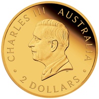 2025 Perth Mint Mini Kangaroo Gold Coin 0.5g 9999 Fine Gold $2 Australia in Card