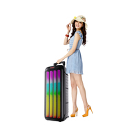 NEW SING-E Dual 8 inch High Power Subwoofer Speaker with Colourful RGB Lights
