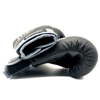 Everlast Junior Training Boxing Gloves Black 6oz Youth