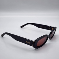 Wyld Blue x Pared Hazed Sunglasses Black Gold Frame Tinted Lens PE2305B