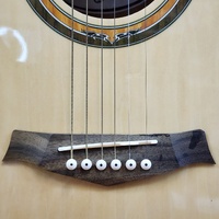 Tribute TRI-1CE Semi-Acoustic Cutaway Guitar Steel String Tuner Brown