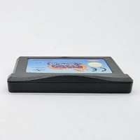 Spyro Season of Ice Nintendo Game Boy Advance AGB-ASYP-EUR Cartridge