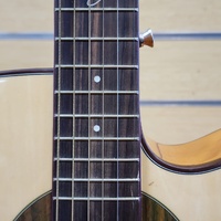 Tribute TRI-1CE Semi-Acoustic Cutaway Guitar Steel String Tuner Brown