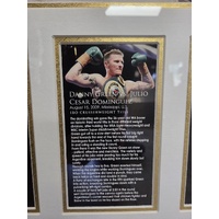 Danny Green Signed Boxing Memorabilia Frame Green Machine COA 343/499