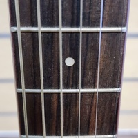 Tribute TRI-1CE Semi-Acoustic Cutaway Guitar Steel String Tuner Brown