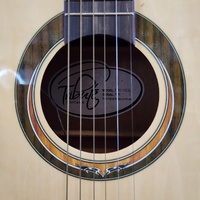 Tribute TRI-1CE Semi-Acoustic Cutaway Guitar Steel String Tuner Brown