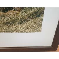 Andrew Bone Triple Trouble Collectable Framed Art Work With Certificate