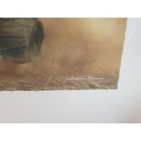 Andrew Bone Coming Through Collectable Framed Art Work With Certificate