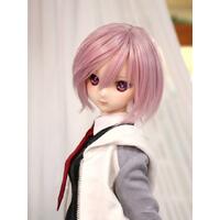 Dollfie Dream Shielder/Mash Kyrielight Fate Grand Order Limited Edition Doll