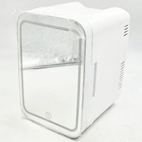 Portable Mini Makeup & Cosmetic Fridge Cooler Warmer LED Mirror 4L 12V DC Skincare Refrigerator