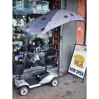 Jinhua Gindun 24V Mobility Scooter 2 x 12V 12Ah Batteries 8km/h 28km Range