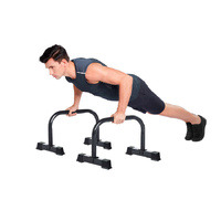 Celsius Cross Training Parrallette Pair