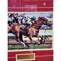 1996 Melbourne Cup Framed Photo Saintly and Darren Beadman Signed